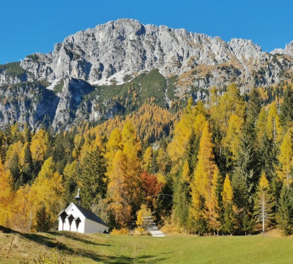 Scopri Sappada